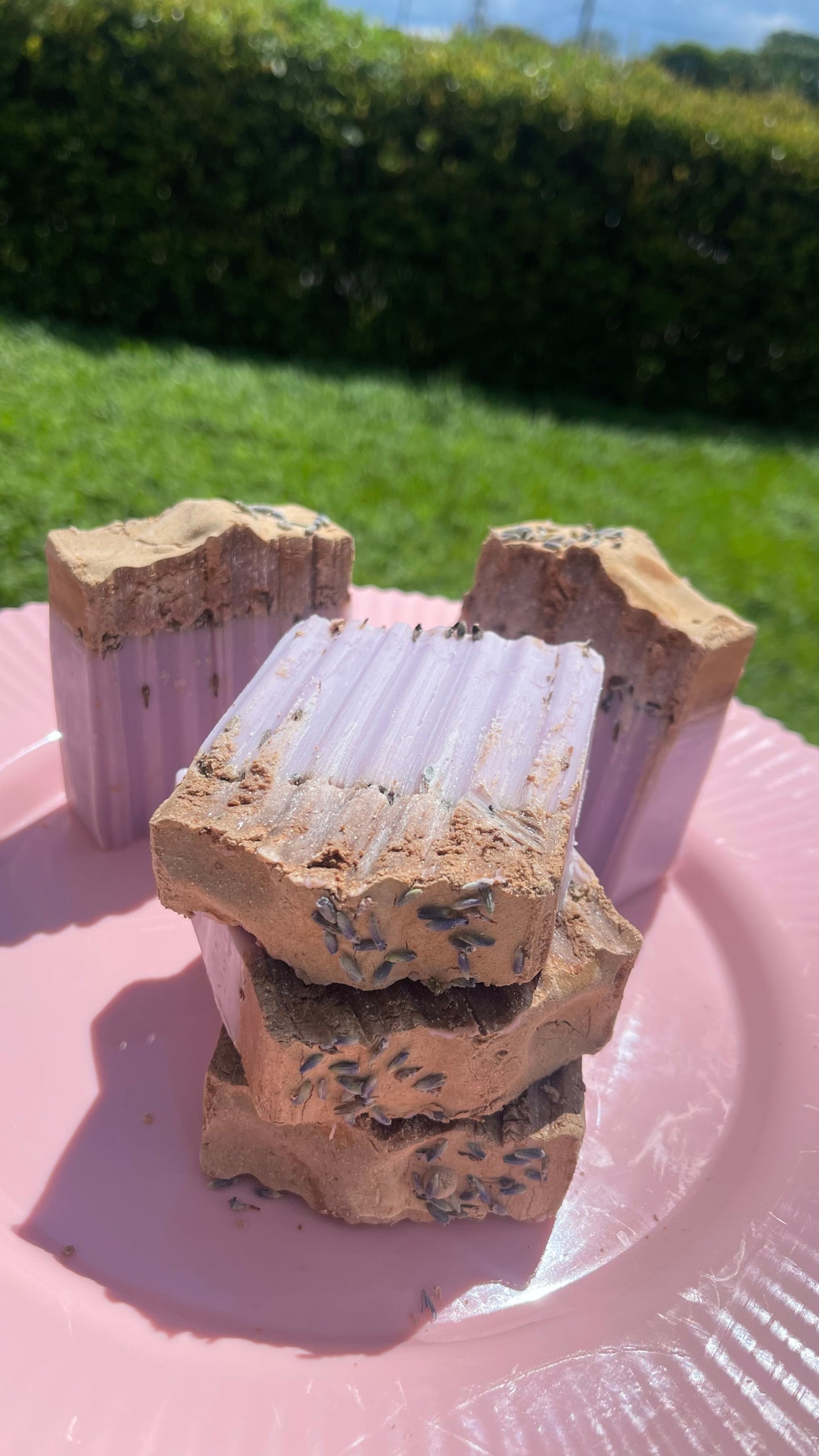 Desert Lavender