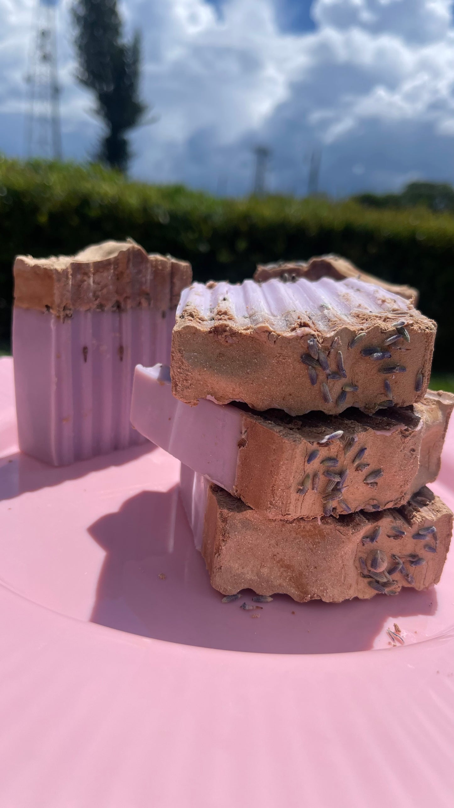 Desert Lavender