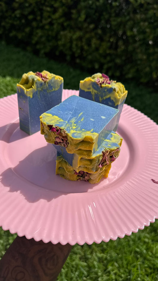 Rich Next Door Neighbor